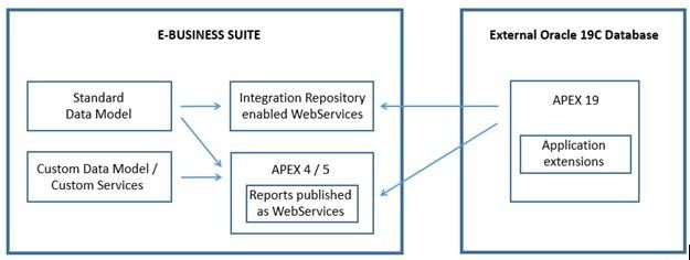 On-Premise Application Extension Development