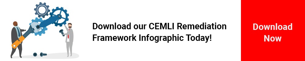 CEMLI Remediation Framework