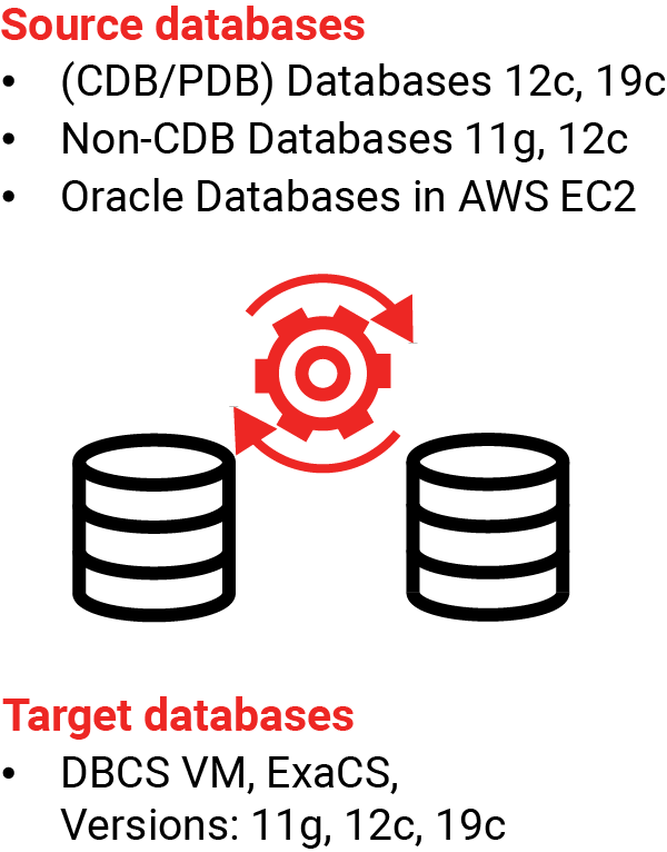 Database Migration