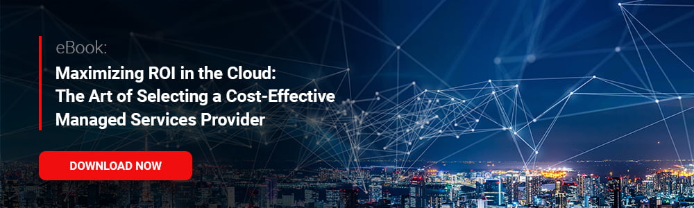 eBook: Maximizing ROI in the Cloud: The Art of Selecting a Cost-Effective Managed Services Provider